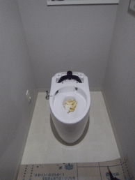 流線的で広くて深い手洗鉢が飛沫を抑えてきれいに 目黒区O様邸 流線的で広くて深い手洗鉢が飛沫を抑えてきれいに 目黒区O様邸